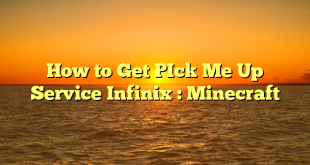 How to Get PIck Me Up Service Infinix : Minecraft