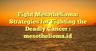 Fight Mesothelioma: Strategies for Fighting the Deadly Cancer : mesothelioma.id