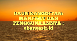 DAUN RANGGITAN: MANFAAT DAN PENGGUNAANNYA : obatwasir.id