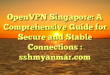 OpenVPN Singapore: A Comprehensive Guide for Secure and Stable Connections : sshmyanmar.com