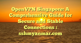 OpenVPN Singapore: A Comprehensive Guide for Secure and Stable Connections : sshmyanmar.com